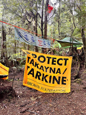 Takayna Ultra-Marathon: Running to save the Tarkine Rainforest