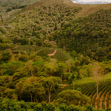 Load image into Gallery viewer, Arcangel Espresso 1kg