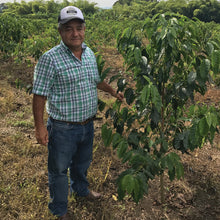 Load image into Gallery viewer, Colombia | Finca Santa Monica | Honey Peach |Espresso 45g Expedition Coffee Pablo & Rusty's