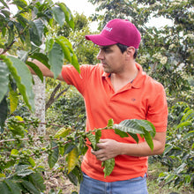 Load image into Gallery viewer, La Divisa | Anaerobic Natural I Gesha I Filter 45g