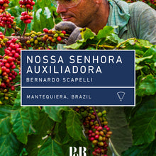 Load image into Gallery viewer, Nossa Senhora Auxiliadora Filter 250g