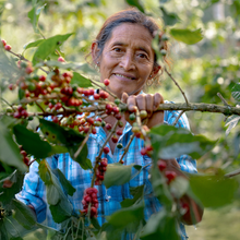 Load image into Gallery viewer, Santa Isabel Filter 250g