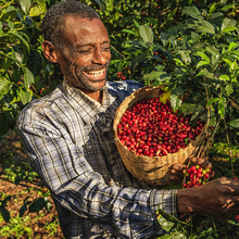 Load image into Gallery viewer, Siko Espresso 250g