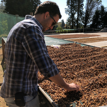 Load image into Gallery viewer, Volcan Azul Espresso 1kg