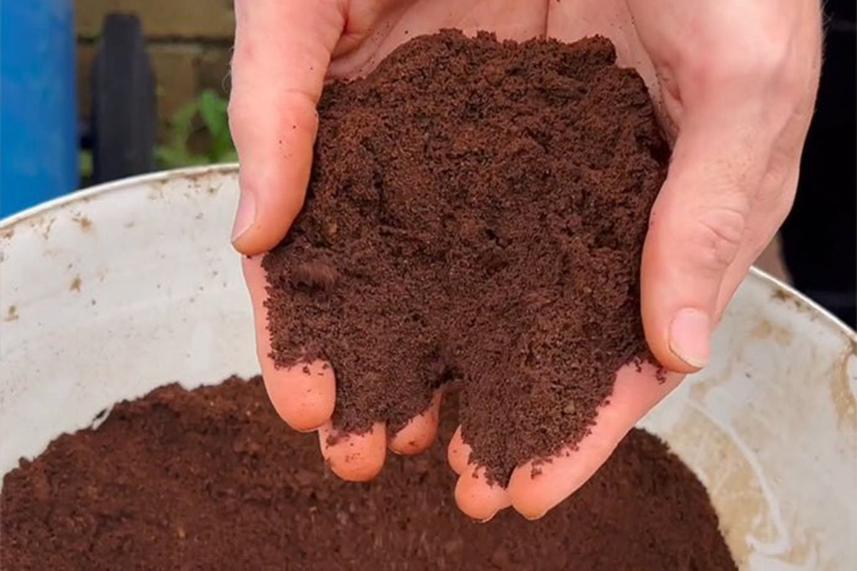 Can coffee grounds go in my garden?