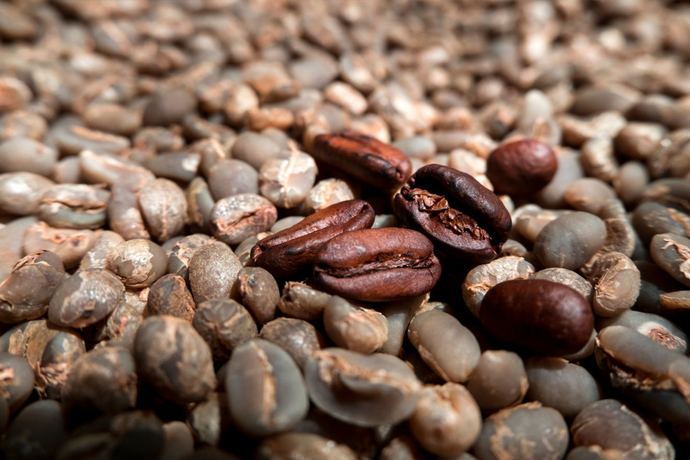 Coffee Species: Arabica, Robusta and others