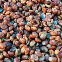 Load image into Gallery viewer, El Durazno Espresso 250g
