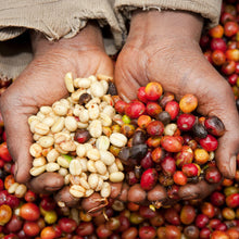 Load image into Gallery viewer, Kanya Espresso 1kg
