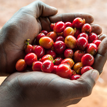 Load image into Gallery viewer, Kiamaina AA Espresso 250g
