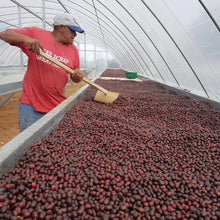 Load image into Gallery viewer, Kukurucho | Geisha | Washed I Filter 45g
