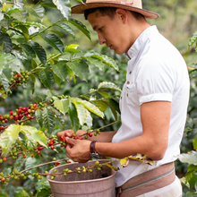 Load image into Gallery viewer, La Danta Espresso 250g
