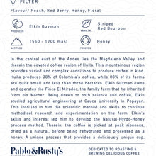 Load image into Gallery viewer, El Mirador Filter 250g
