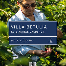 Load image into Gallery viewer, Villa Betulia Espresso 250g
