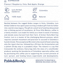 Load image into Gallery viewer, Villa Betulia Espresso 1kg
