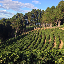 Load image into Gallery viewer, Volcan Azul Espresso 250g
