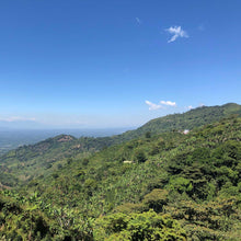 Load image into Gallery viewer, Colombia | Jardines Del Eden | Natural | Espresso - Pablo &amp; Rusty's 
