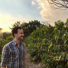 Load image into Gallery viewer, Costa Rica | Volcan Azul | Geisha | Natural Reserve | Filter - Pablo &amp; Rusty's 
